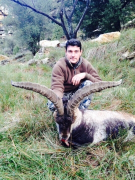 Tortosa Beceite Spanish Ibex